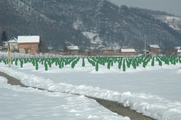 Srebrenicia
