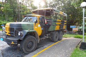 Jungle Transport