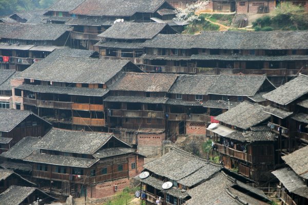 Dong houses