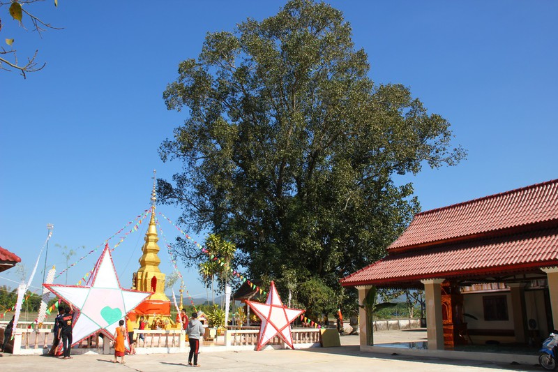 temple fair