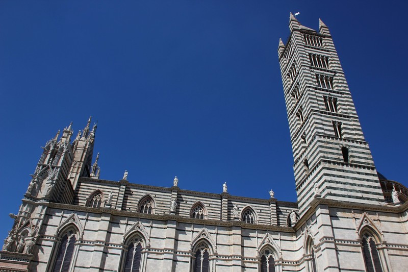 The Duomo cathedral 