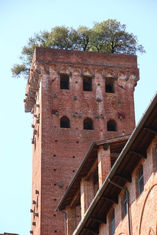 Torre Guinigi tower