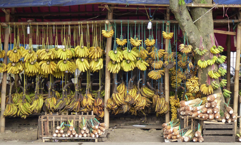 banana stand