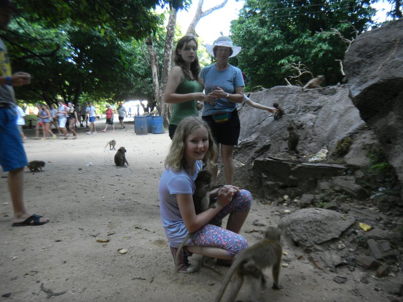 Kia bonded with the young and small monkeys