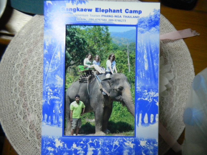 Elephant ride!