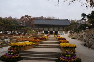 The landscape in the Temple