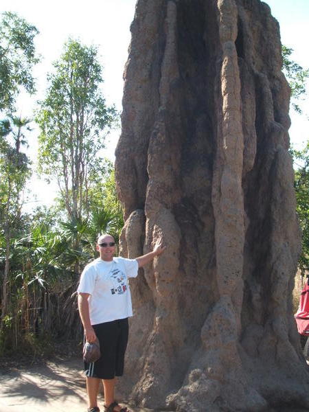 Cathedral Termite mound