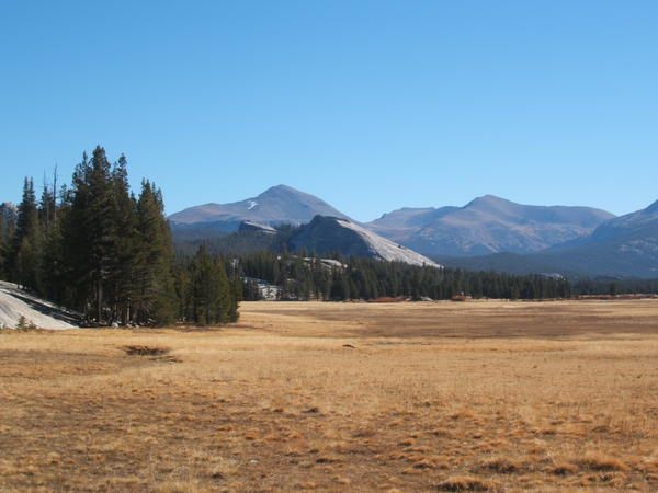 Meadows in Yosemite