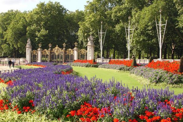 Buckingham Palace Gardens