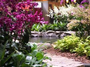  More Orchid Garden - Changi Airport, Singapore