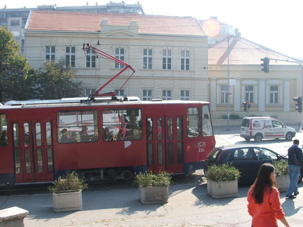 Belgrade trams
