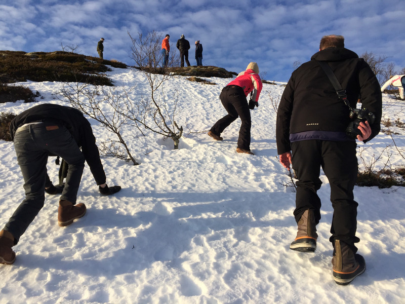 struggling up the hill to look for wild reindeer
