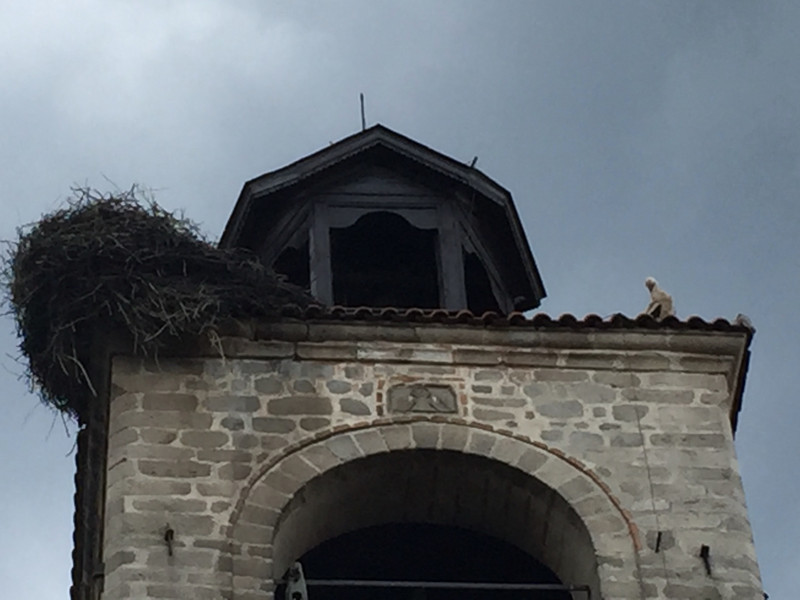 Storks best in church tower, Bansko