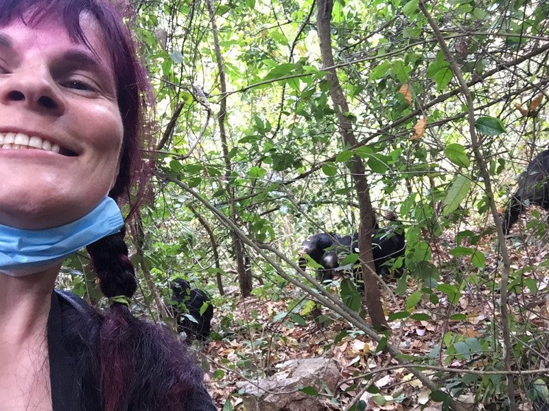 attempt of selfie with chimps