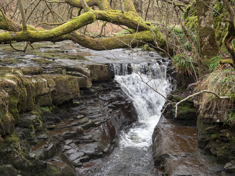 Further down from Ashgill Force