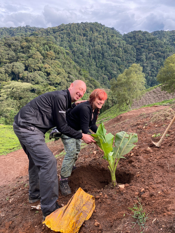 Planting our banana tree