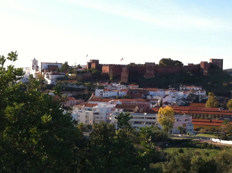 Silves from the south