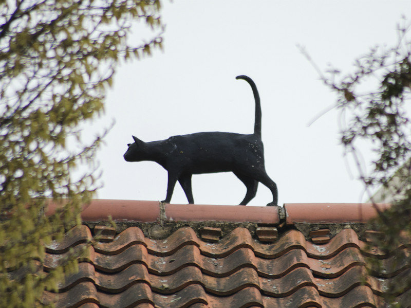Cat statue on a roof