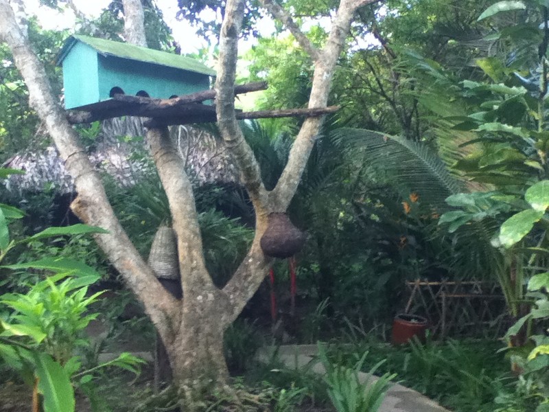 Cat treehouse