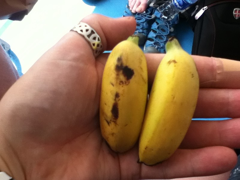 Tiny tiny bananas