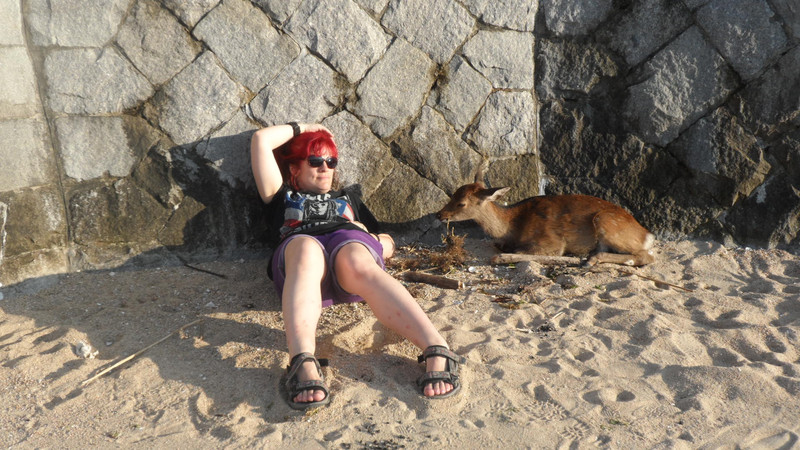 Chilaxing with deer on the beach