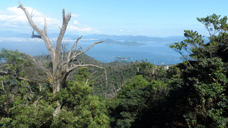 View  from summit of Miyajima Island