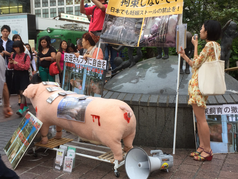 Protesting about pigs living in shocking conditions