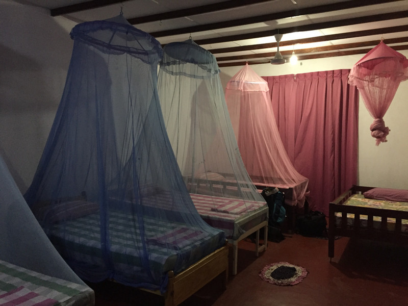 Dorm at the Elephant Freedom Project
