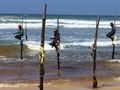 Stilt fishermen at Koggala