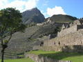 Machu Picchun pengerryksia
