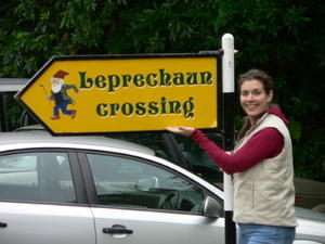 Leprechaun Crossing
