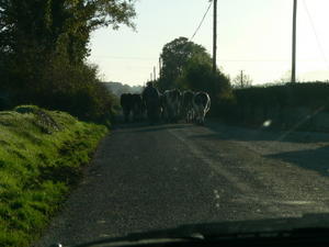 Irish Traffic Jams