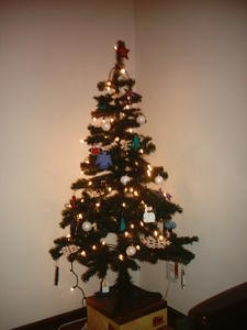 Oh Christmas tree....