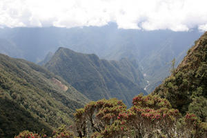 Hills, terraces and the Urubamba (Day 3)