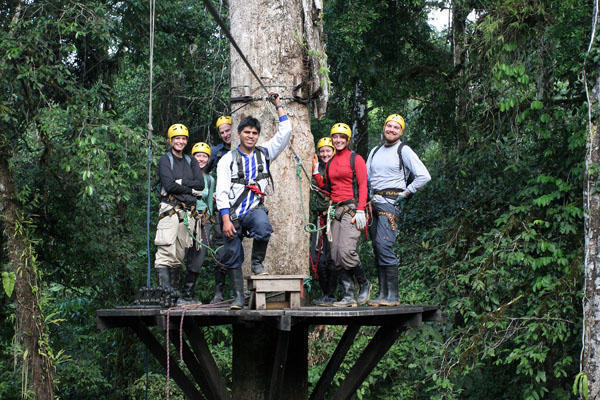 The tree top tribe (Day 2)