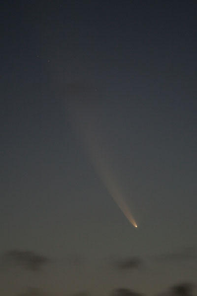 Comet McNaught from Mt Coot-tha