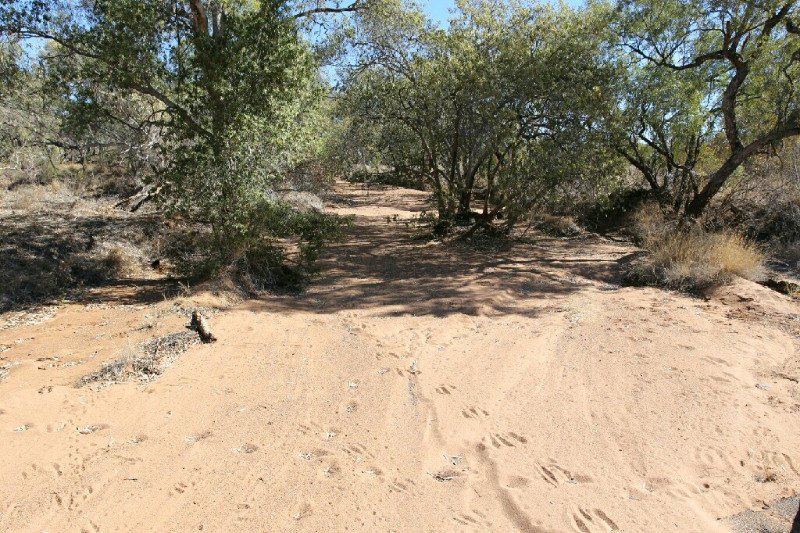 Day 18 - Most of the rivers / creeks I go past are dry like this one which had animal footprints in the sand.