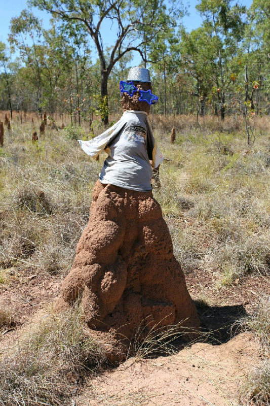 Day 33 - Termite mound dressed up