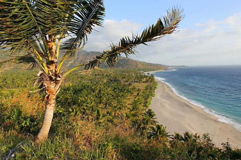 Palms, hills and beach outside Sengiggi