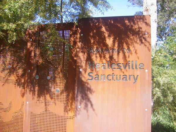 Healesville Sanctury