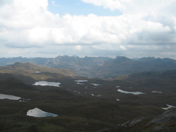 The Cajas