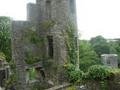 Blarney Castle 7