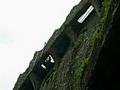 Blarney Castle 5