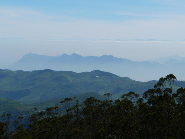 View from Dodabetta peak