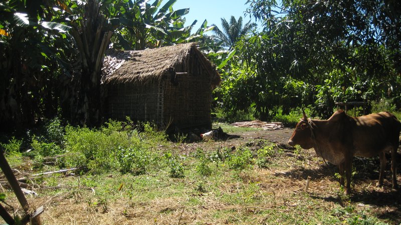 Typical hut in the village