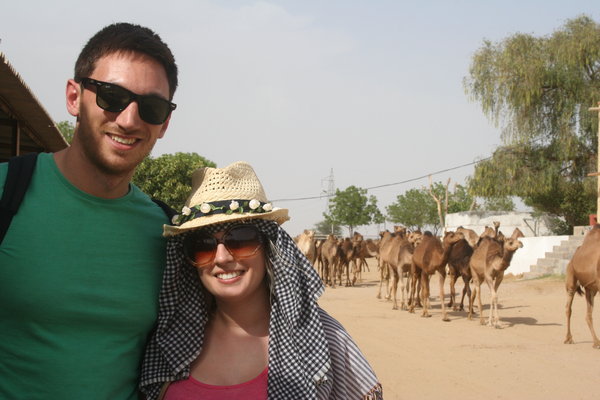 camel sanctuary