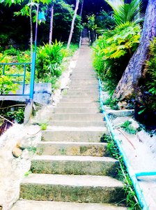 The ascend to Phi Phi viewpoint (just the start!)