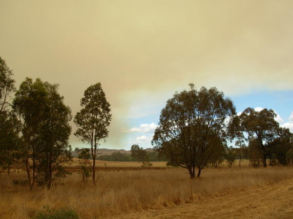 edge of a bushfire, north of Melbourne