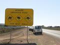 Native Australian Road Sign