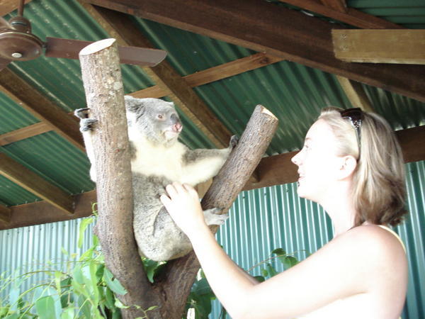 Ik en mijn koala-vriendje